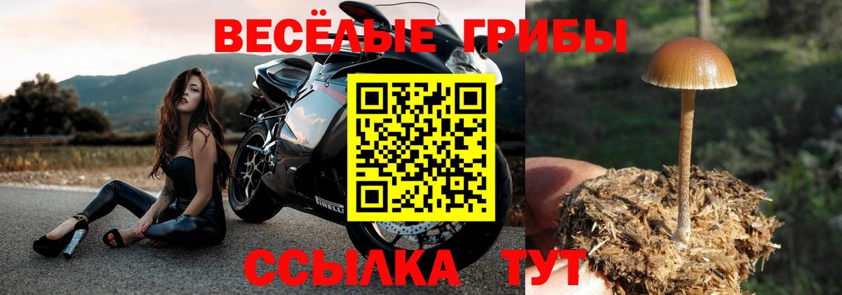 даркнет сайт  Вход с VPN  Южно-Сахалинск  Галлюциногенные грибы MAGIC MUSHROOMS  Псилоцибиновые грибы Psilocybine cubensis 